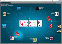Bodog Poker Screenshot